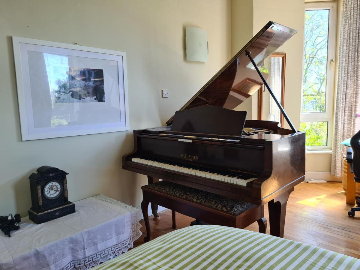 11 Somerville Place East Dundee Kültér fotó